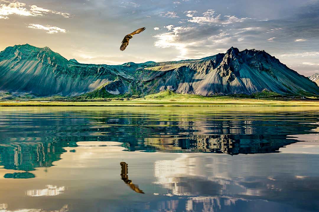 Neuseeland Berge Adler