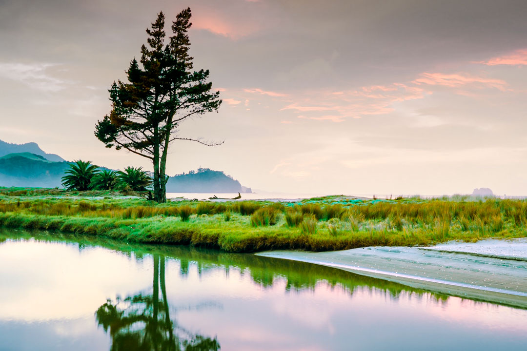 neuseeland nordinsel coromandel mercury bay