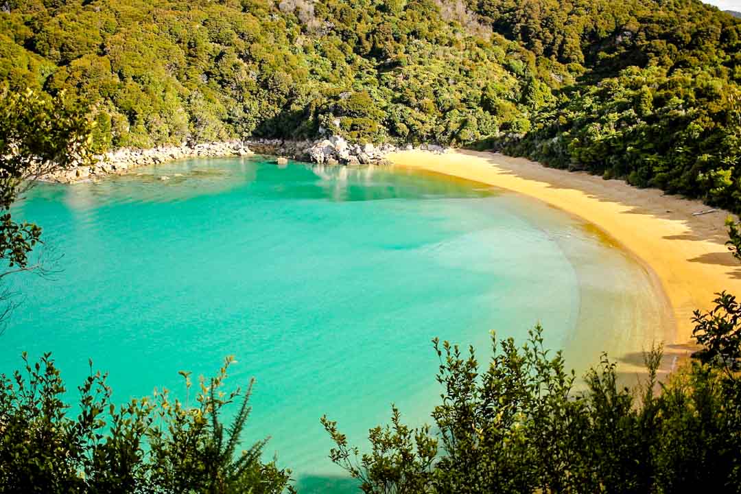 neuseeland suedinsel abel tasman national park te puketea bay neuseeland suedinsel abel tasman national park te puketea bay