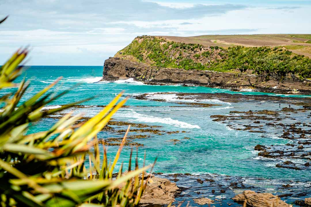 neuseeland suedinsel catlins curio bay