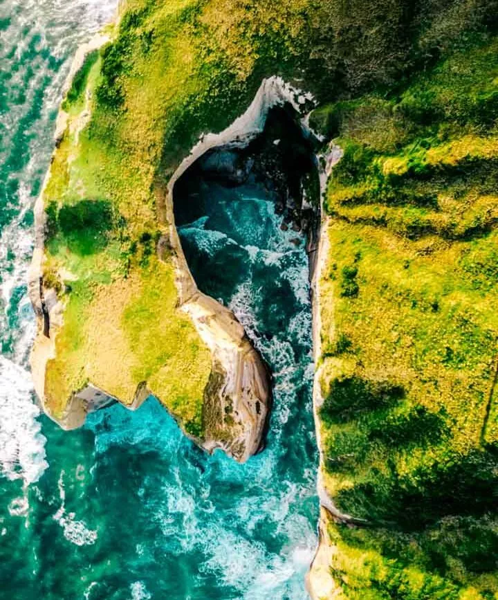 neuseeland suedinsel dunedin kueste von oben neuseeland suedinsel dunedin kueste von oben