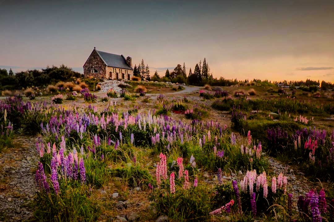neuseeland suedinsel lake tekapo church of the good shepard neuseeland suedinsel lake tekapo church of the good shepard