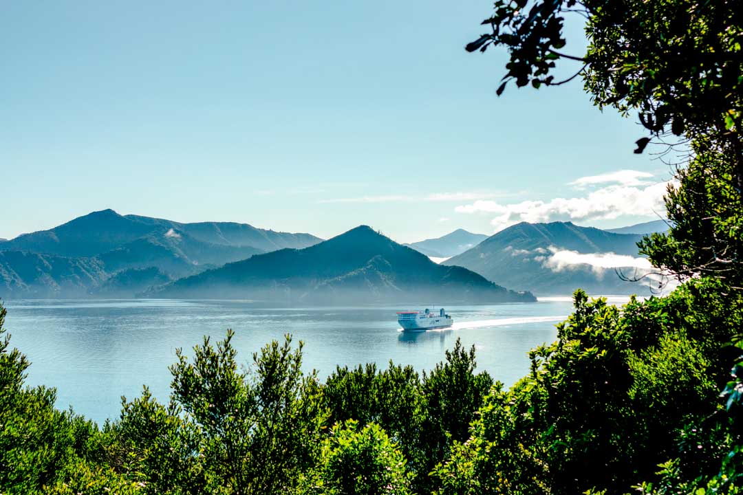 neuseeland suedinsel marlborough sounds faehre neuseeland suedinsel marlborough sounds faehre