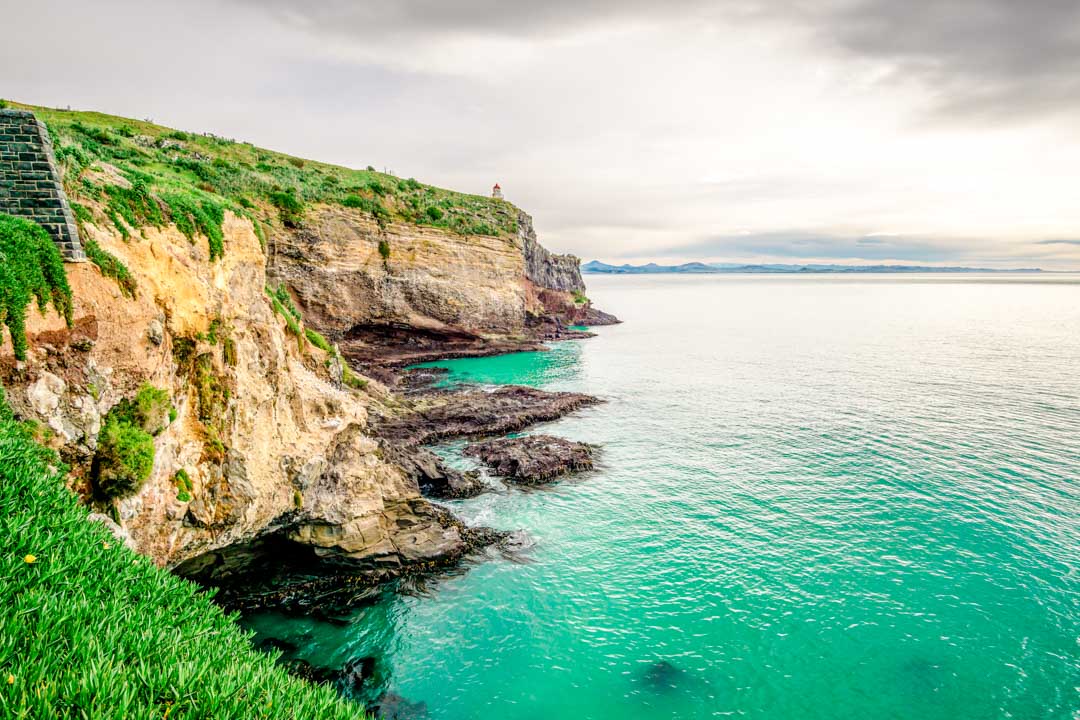 neuseeland suedinsel otago taiaroa head neuseeland suedinsel otago taiaroa head