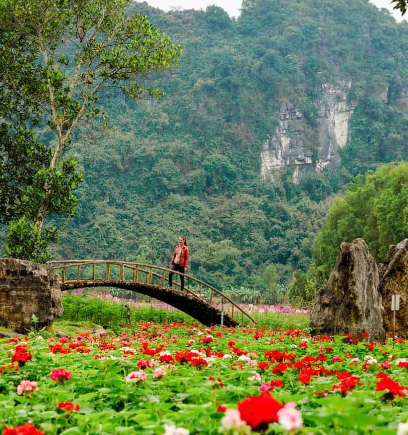 schoener park mit blumen im thung nham bird valley ninh binh vietnam Schöner Park mit Blumen im Thung Nham Bird Valley, Ninh Binh Vietnam