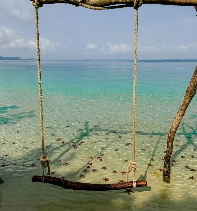 Alle Seesterne direkt am Strand auf Phu Quoc