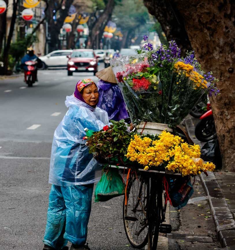 vietnamesin im regenmantel auf einem mit blumen beladenen fahrrad hanoi