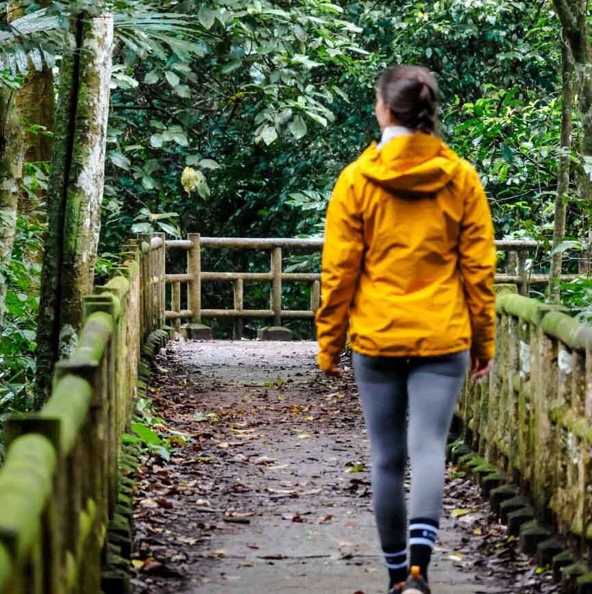 wanderung durch den cuc phuong nationalpark bei ninh binh vietnam 2 Wanderung durch den Cuc Phuong Nationalpark bei Ninh Binh, Vietnam