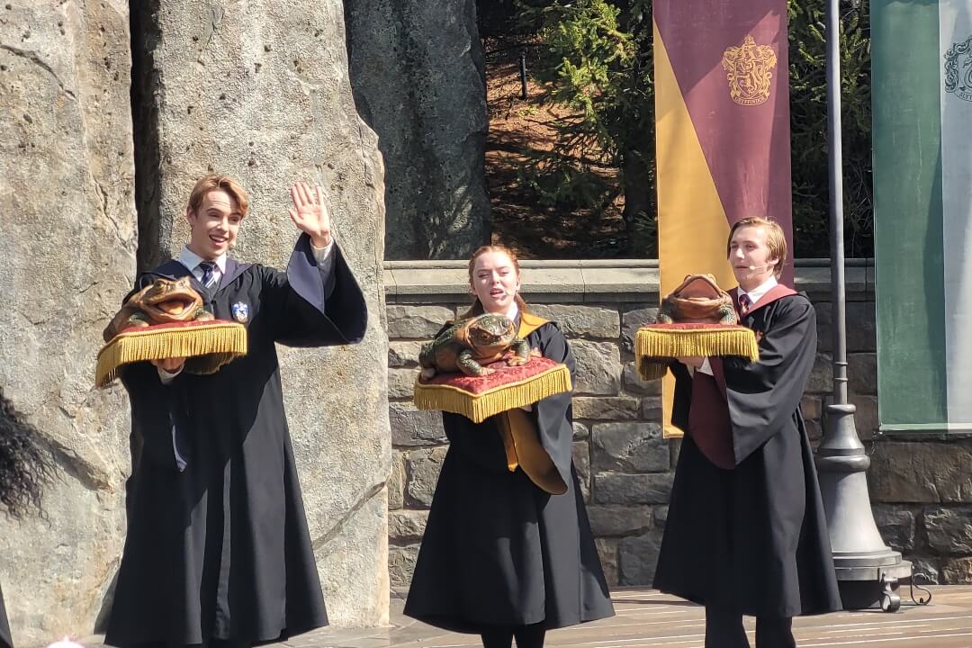 Universal Studios Froschchor