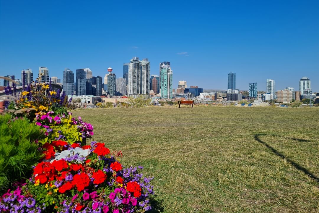 aussicht scotman hill aussicht scotman hill