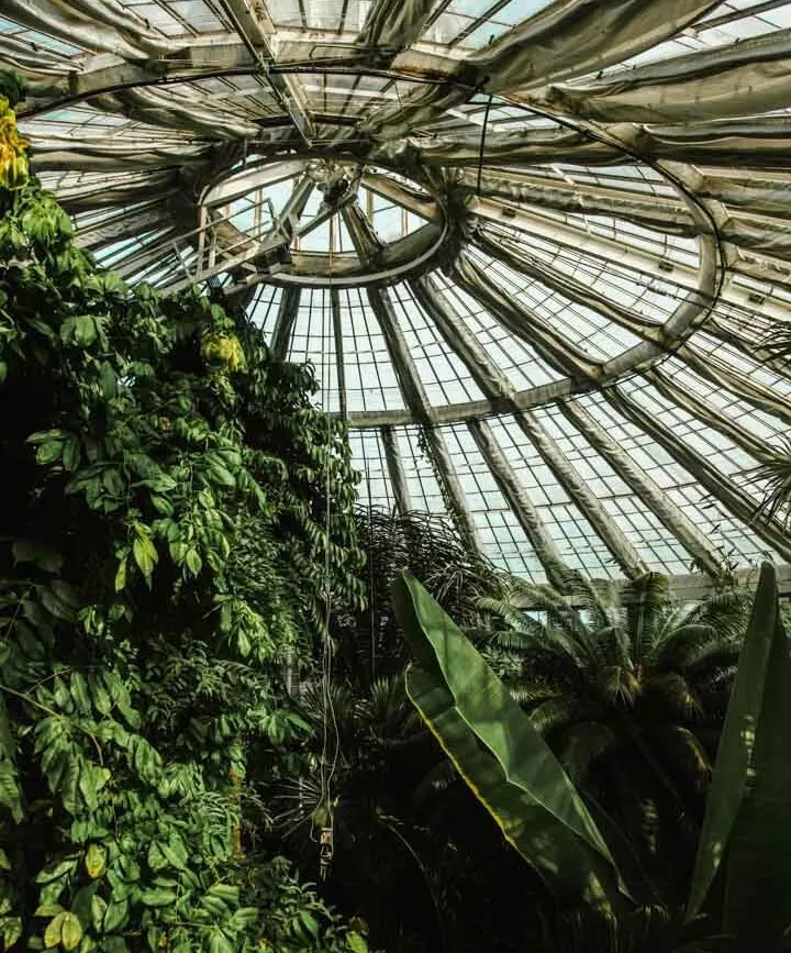 daenemark kopenhagen botanischer garten