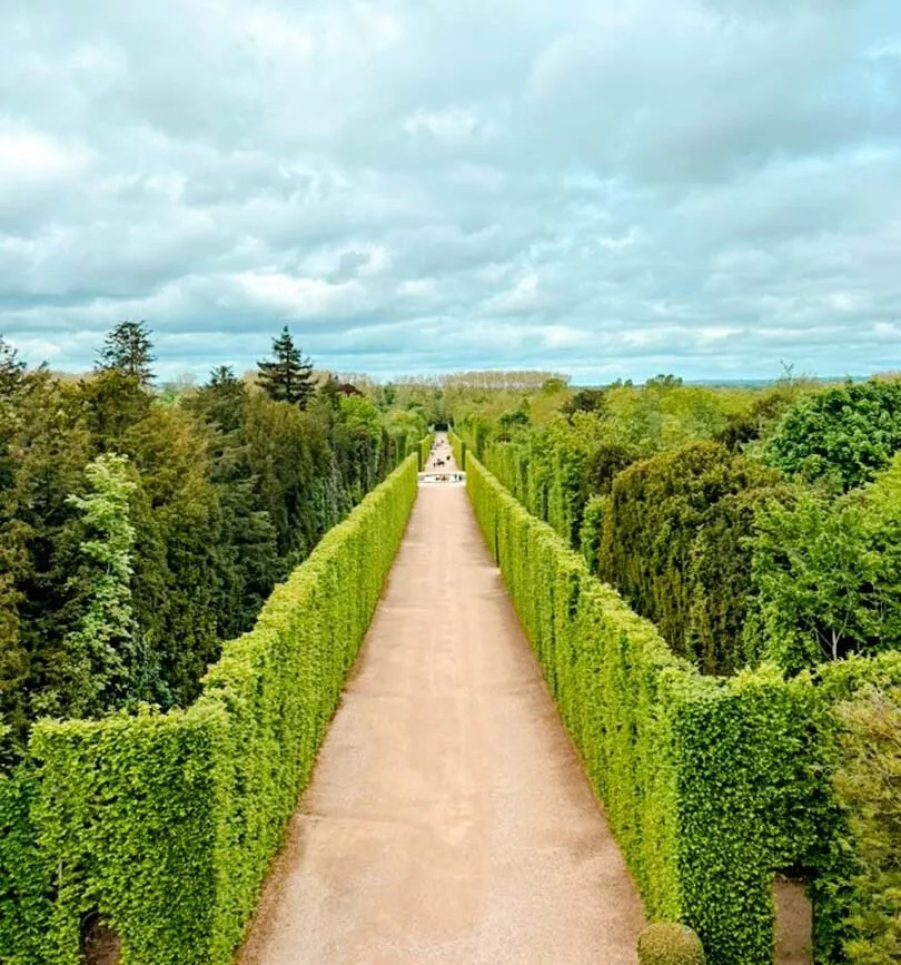 Hecke und Weg durch die Gartenanlage von Versailles, Paris