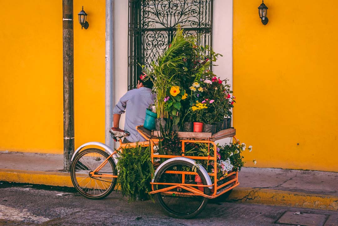 mexiko yucatan merida mann auf fahrrad mexiko yucatan merida mann auf fahrrad