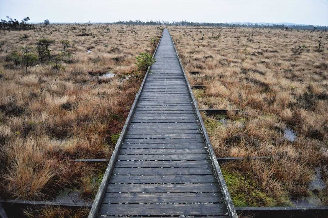 schweden rundreise dumme mosse