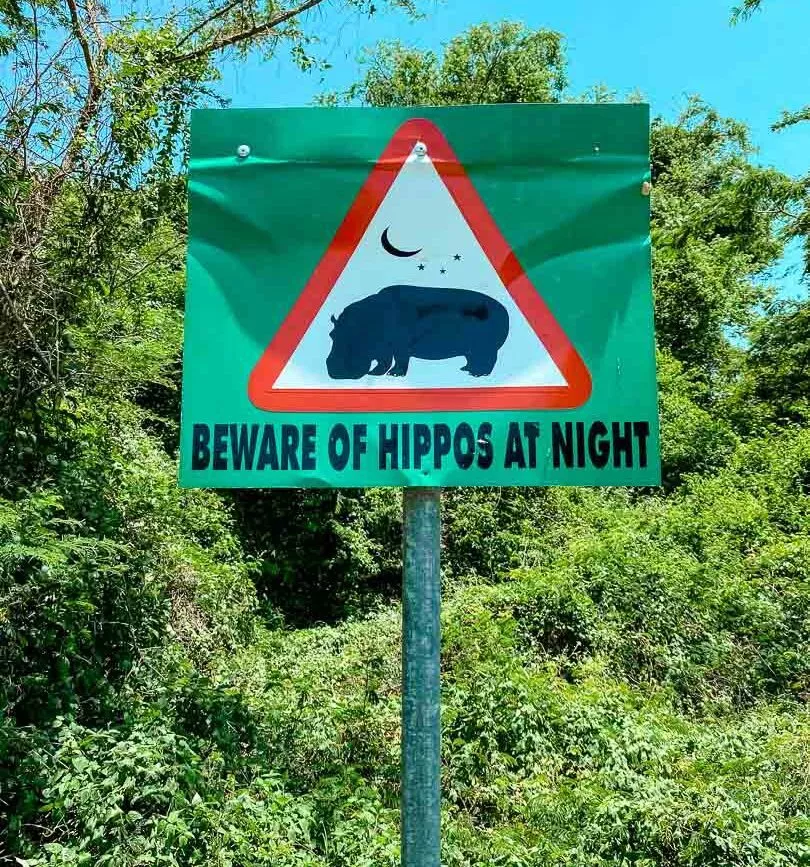 achtung vor hippos in st lucia suedafrika