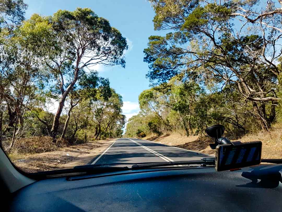 Australien Straße mit Eukalyptusbäumen