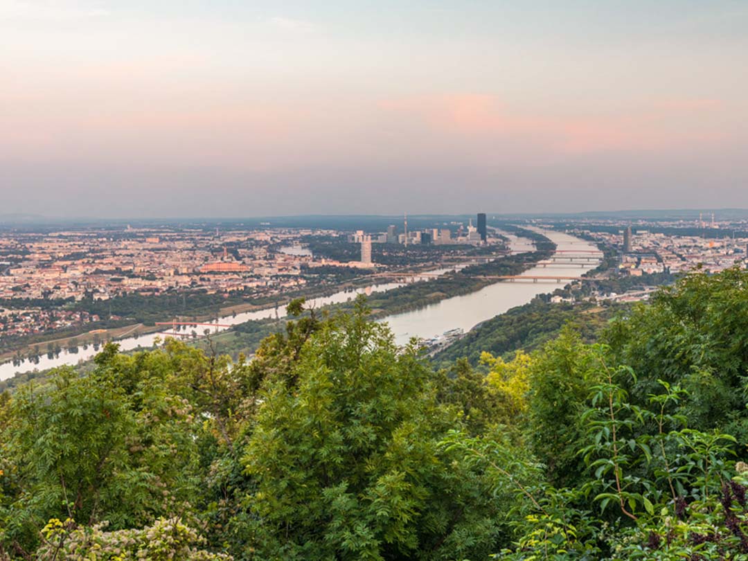 blick ueber wien donauinsel vom donauturm aus in wien staedtetrip
