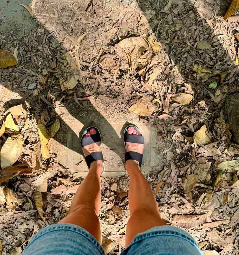 ehemaliger eingang zu den cu chi tunneln Ehemaliger Eingang zu den Cu-Chi-Tunneln