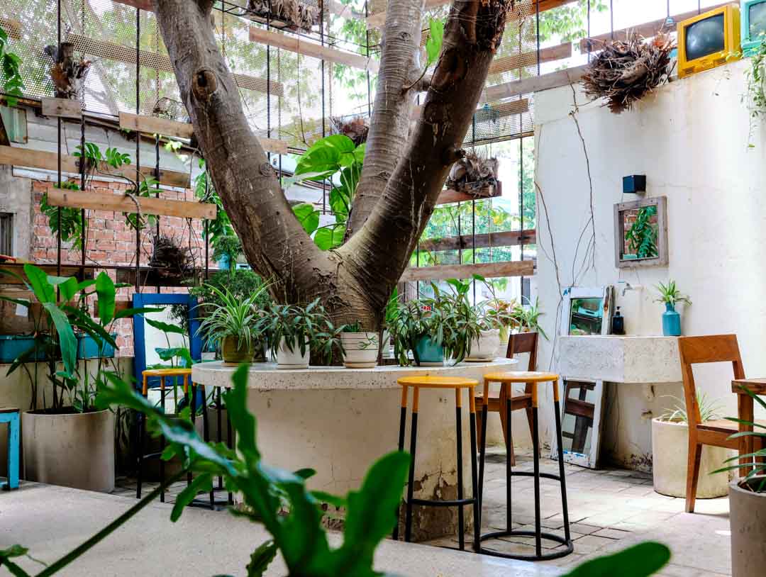 infinity cafe con dao