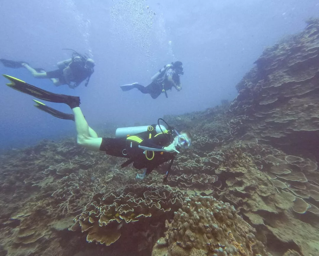 Korallenriffe bei Con Dao, Vietnam