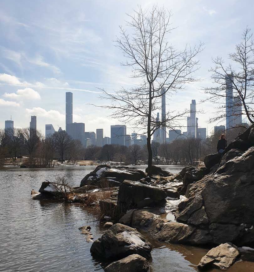 New York Städtetrip Central Park Skyline