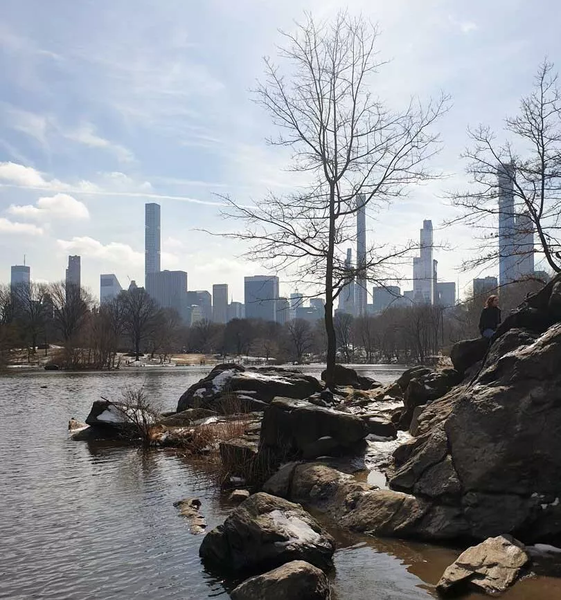new york staedtetrip central park skyline new york staedtetrip central park skyline