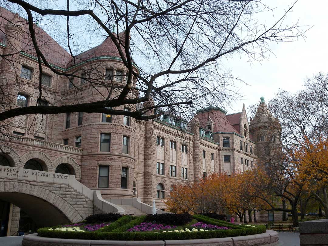 new york staedtetrip natural history museum