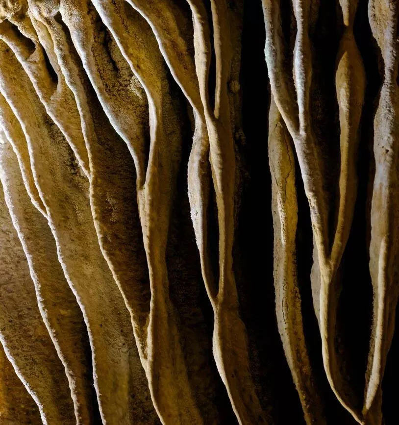 Strukturierte Stalaktiten in der Tien Son Cave, Vietnam