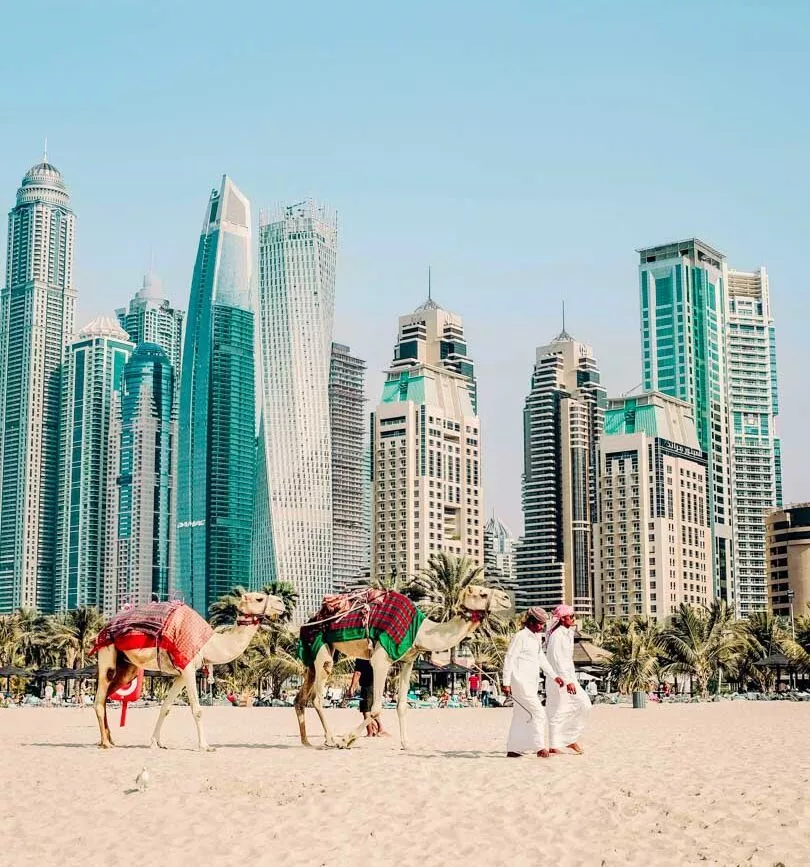 uae dubai jumeirah beach