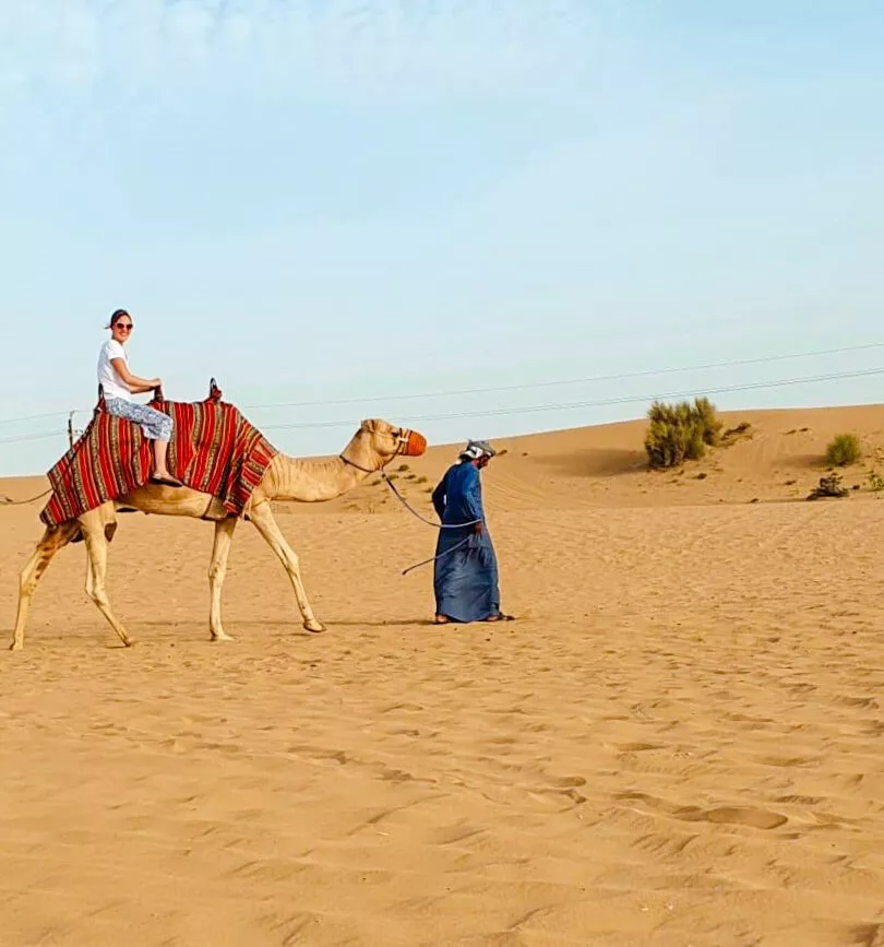 uae dubai kamelreiten in der wueste