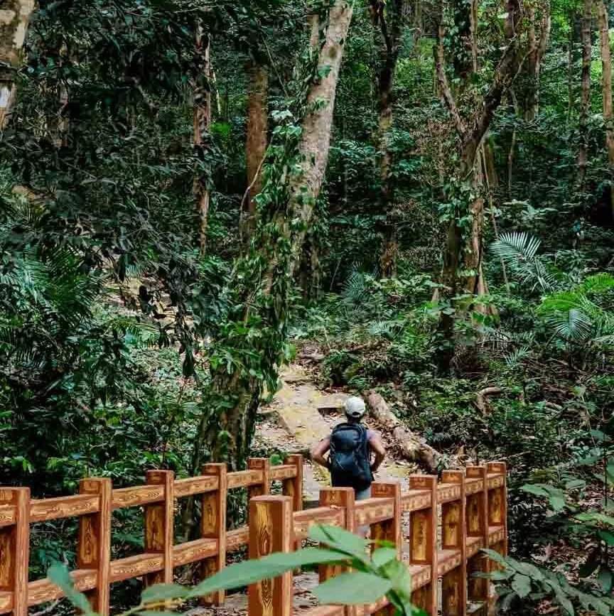 Wanderweg auf den Berg Sở Rẫy, Con Dao