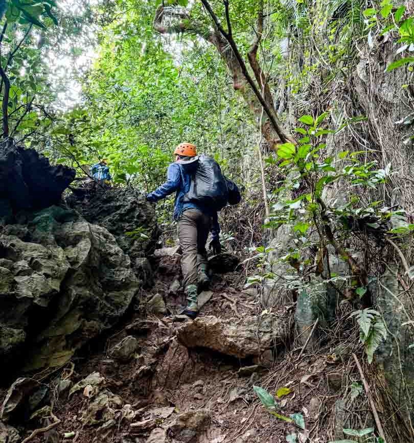 weg zur elephant cave in phong nha vietnam