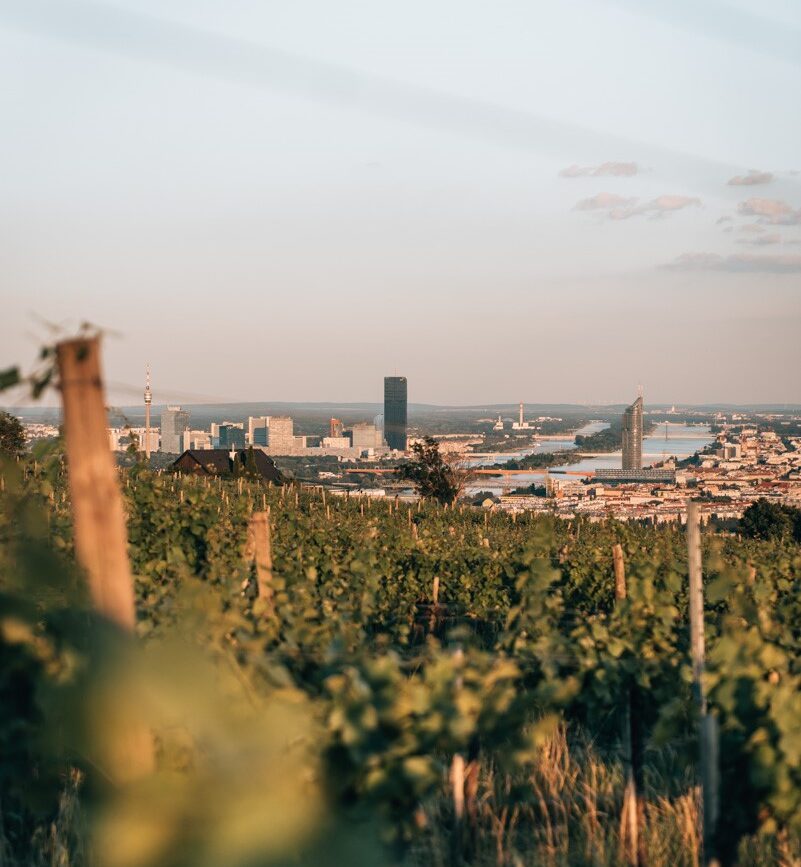 wien staedtetrip nussberg