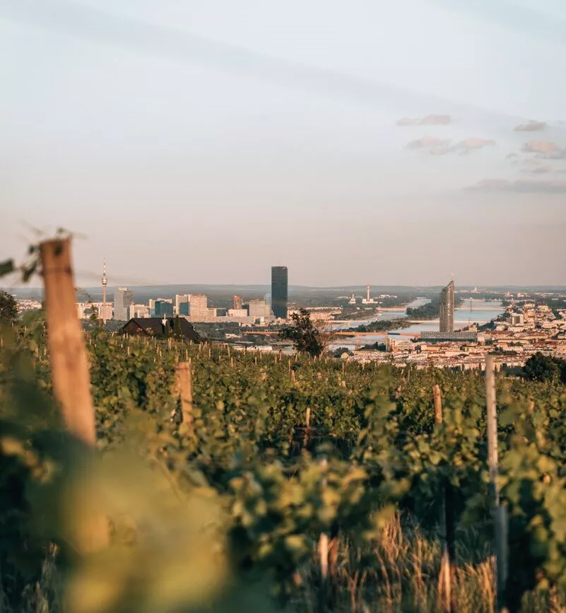 wien staedtetrip nussberg