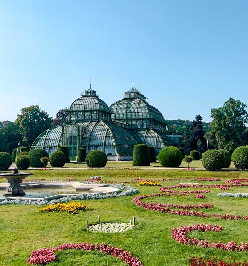 wien staedtetrip schoenbrunn palmenhaus