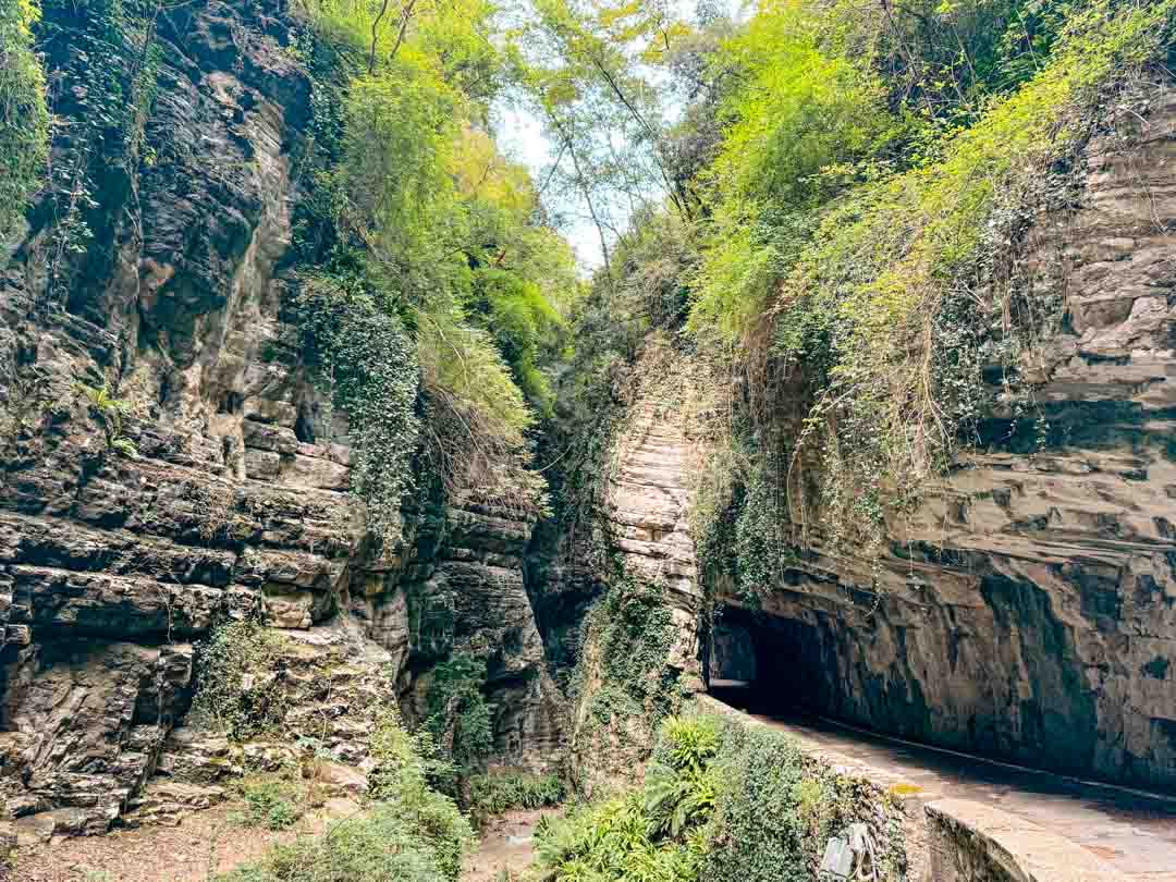 bewachsene felswaende in der brassa schlucht gardasee