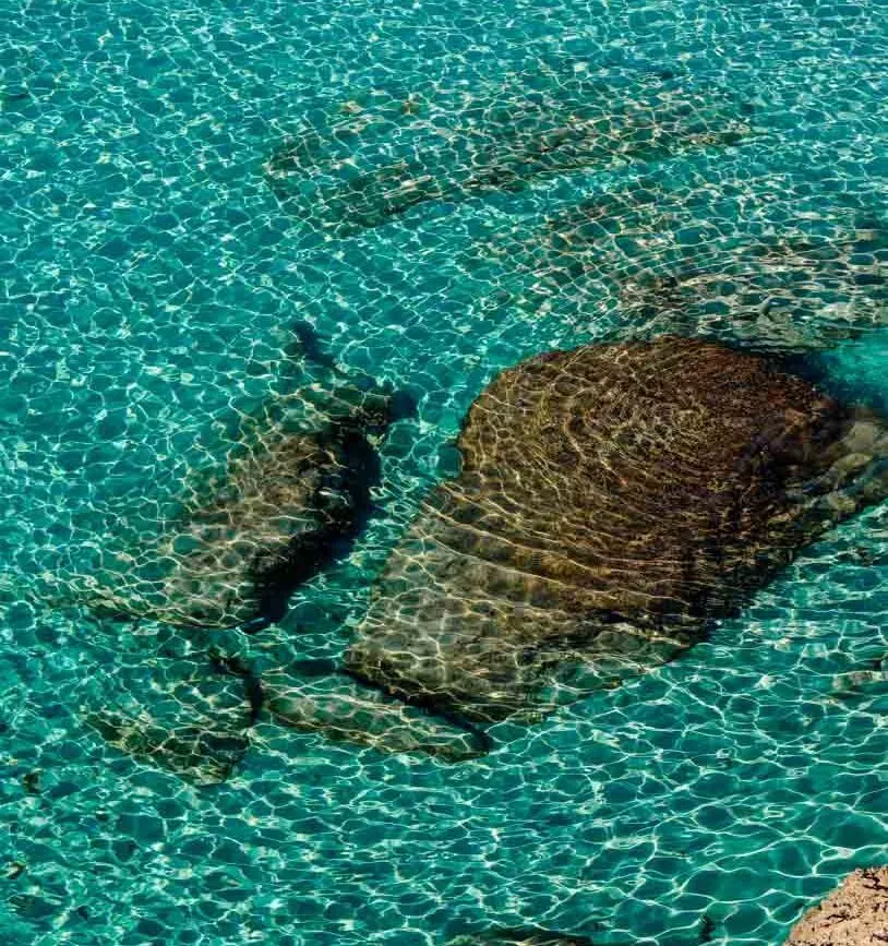Cala Azzurra auf Favignana, Meer auf Sizilien