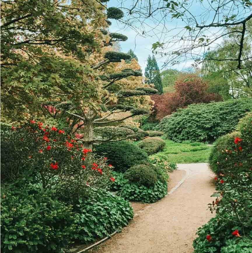 Japanischer Garten In Planten Un Blomen In Hamburg 2