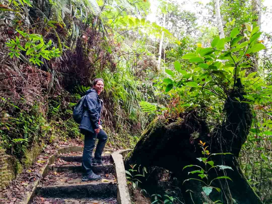 malaysia cameron highlands wanderung malaysia cameron highlands wanderung