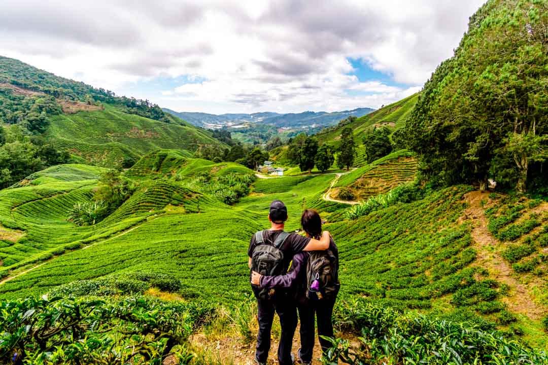 malaysia cameron highlands malaysia cameron highlands