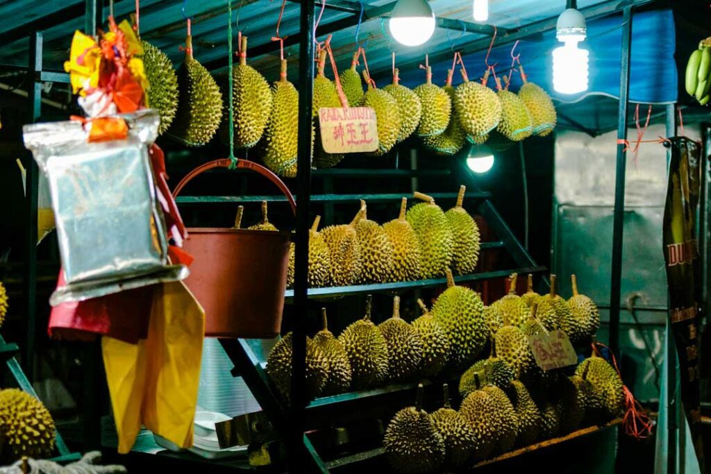 malaysia durianfrucht