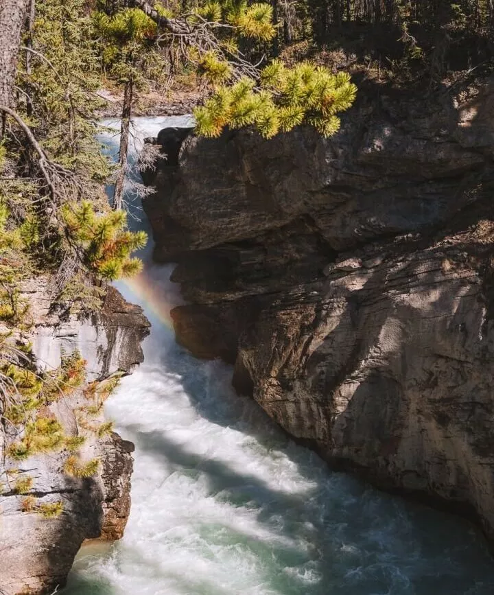 Jasper Maligne Canyon