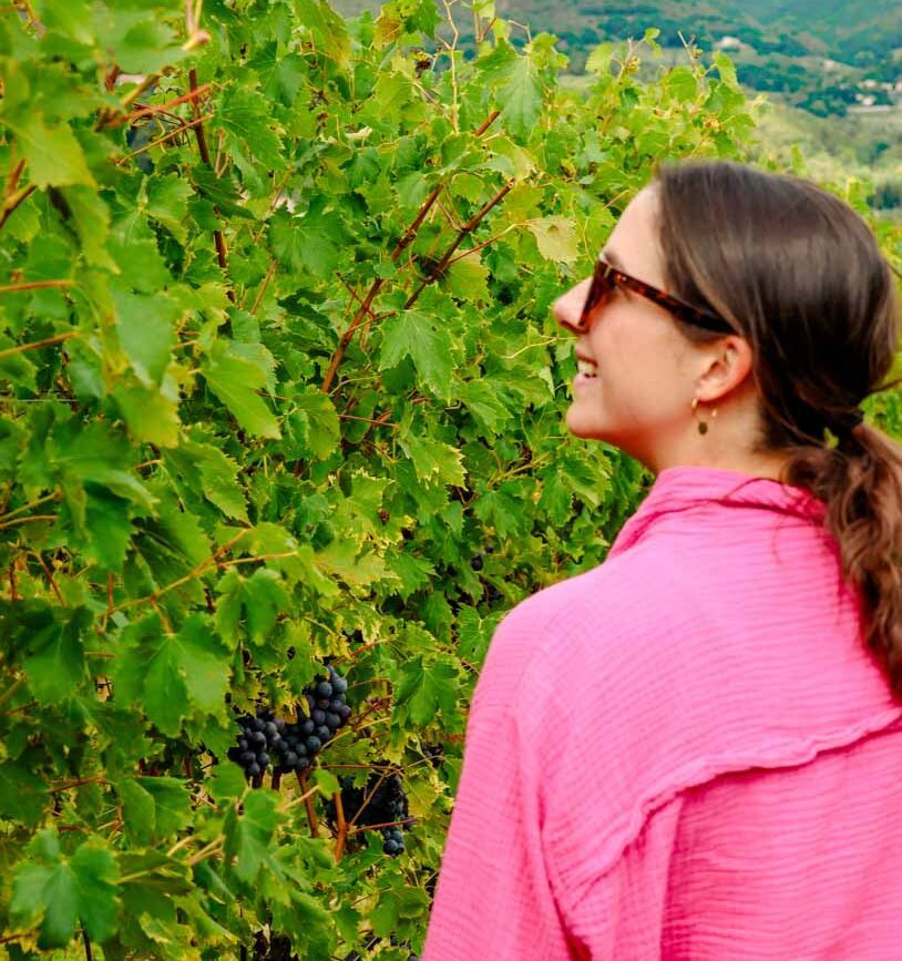 nina bekommt eine fuehrung durch die weinberge bei bardolino