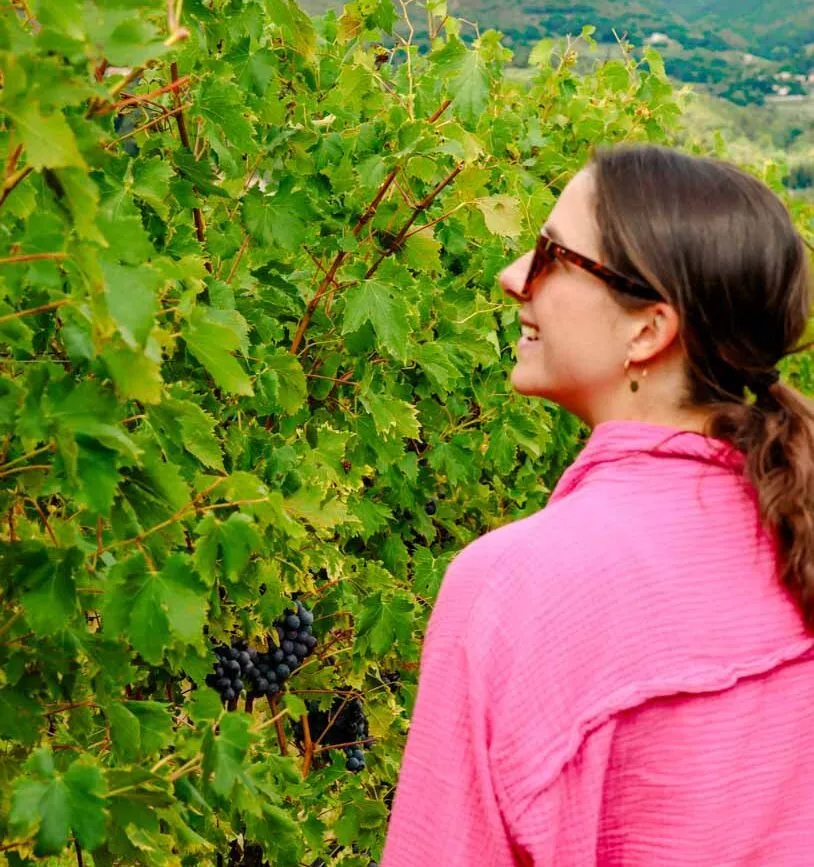 nina bekommt eine fuehrung durch die weinberge bei bardolino nina bekommt eine fuehrung durch die weinberge bei bardolino