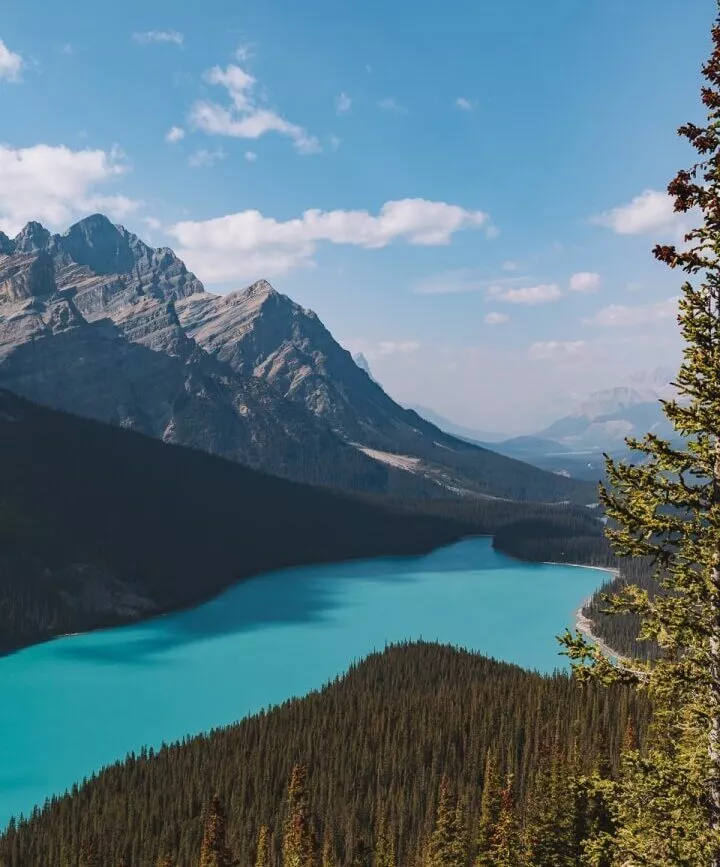 peyto lake peyto lake