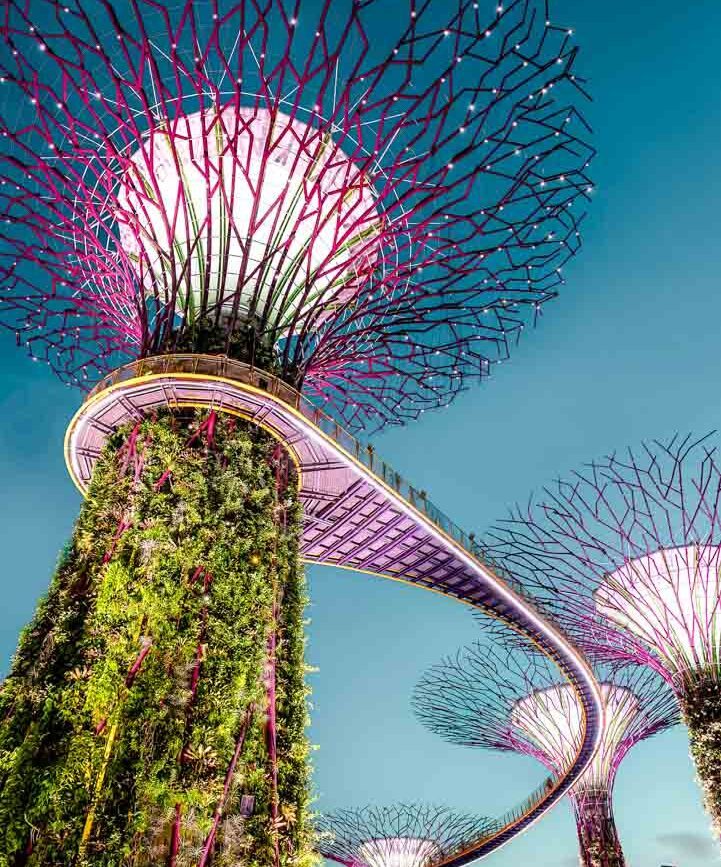 Singapur Supertrees Am Abend