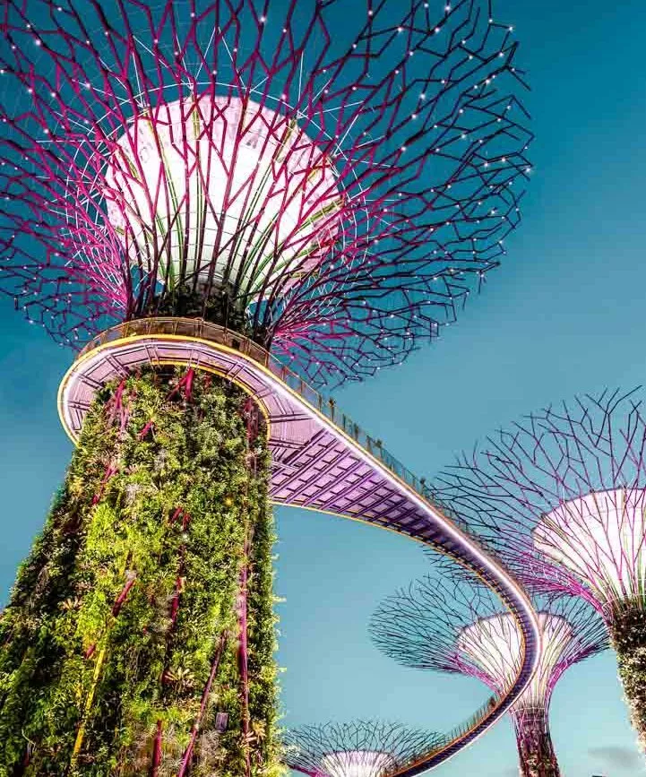 Singapur Supertrees Am Abend