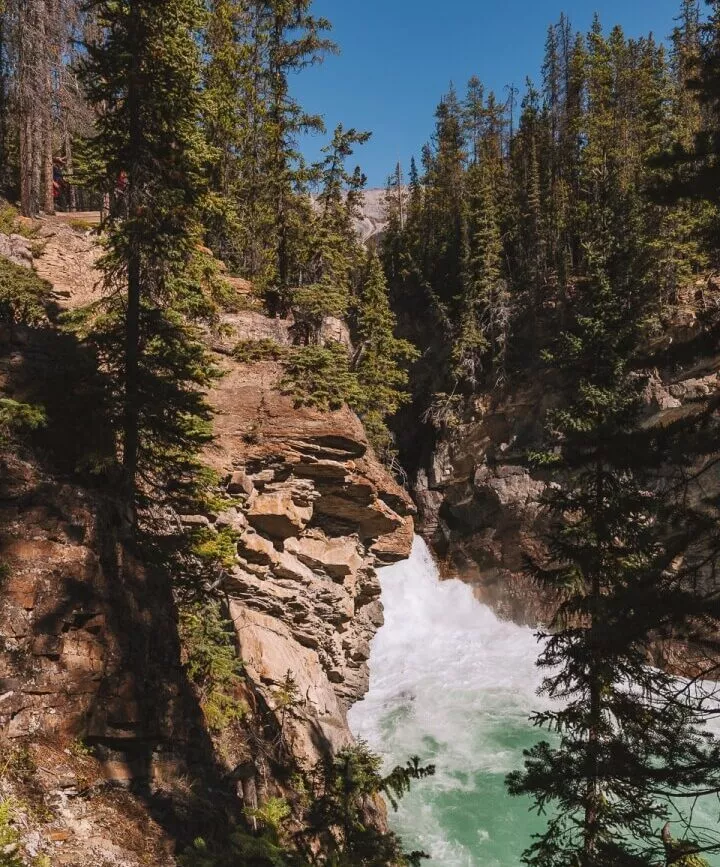 Jasper Sunwapta Falls Flusslauf