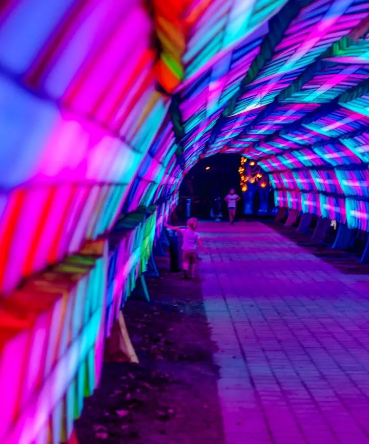 UAE Dubai Garden Glow