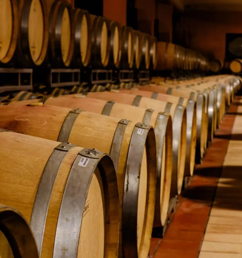 weinkeller im tenuta la presa